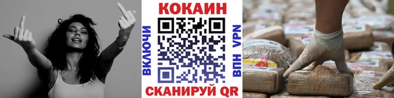 MEGA ссылки  Богородицк  Кокаин Fish Scale  сколько стоит 