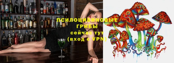соль ск Алексеевка